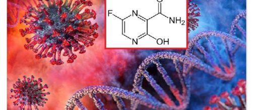 Un antinfluenzale giapponese, Favipiravir, potrebbe essere utile per un rapido recupero da SARS-CoV-2. Nella fase iniziale dell’infezione.