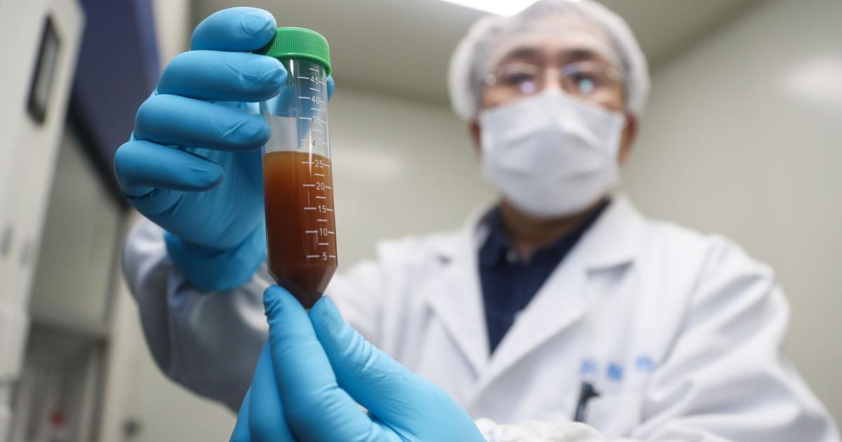 Coronavirus: China afirma que ya tiene lista la vacuna ...