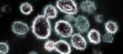 Il coronavirus può durare fino a tre ore nell'aria e fino a tre giorni sui materiali.