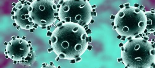 9 teorie smontate dalla scienza sul Coronavirus