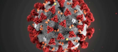 Coronavírus não foi feito em laboratório, de acordo com estudos tem origem natural. (Arquivo Blasting News)
