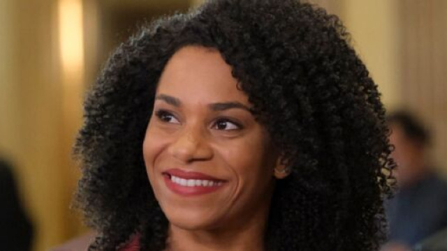 Nel prossimo episodio di Grey's Anatomy, Maggie Pierce incontrerà un vecchio collega e trascorrerà una notte di passione con lui.