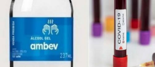 Ambev doará produção de álcool gel a hospitais e pede para não cair em "fake news". (Arquivo Blasting News)