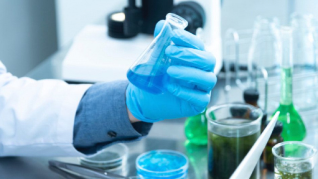 Coronavirus : Le Cameroun compte 27 cas confirmés. Credit : Pexels