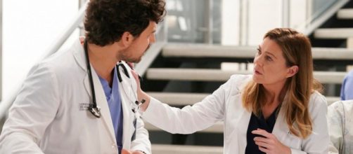 Grey's Anatomy: Meredith preoccupata per la salute di De Luca - FONTE: GOOGLE