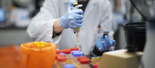 Los test de coronavirus rápidos adquiridos en China no son viables