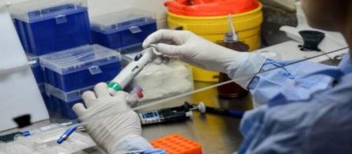 Coronavírus: Pesquisadores brasileiros estão avançando para achar a cura do vírus. (Arquivo Blasting News)