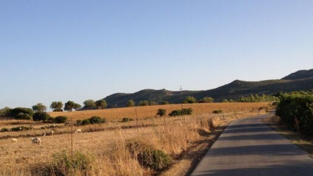 Sud Sardegna, Fabio, 24 anni, &egrave; scomparso da una settimana: l'appello dei genitori.