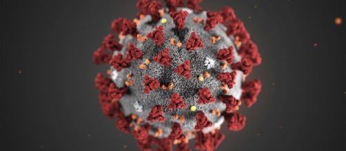 Per l'OMS bisogna contenere il virus, isolando e curando i malati e tracciando i loro contatti.