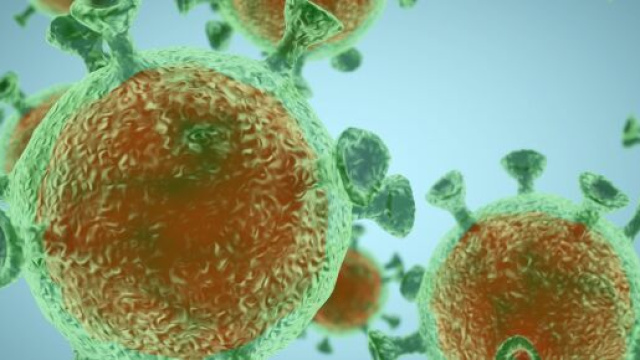 Luca di Nicola il ragazzo di Nereto deceduto a Londra, è risultato positivo al coronavirus