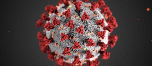 La pandemia del Coronavirus está afectando la vida humana en el mundo. - livescience.com