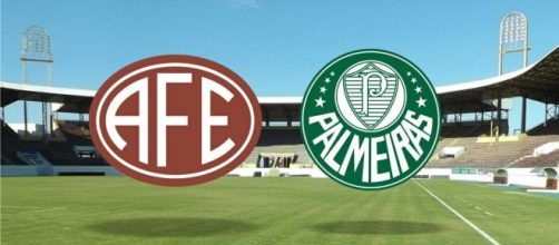 Palmeiras e Ferroviária se enfrentam pelo Paulistão 2020. (Arquivo Blasting News)