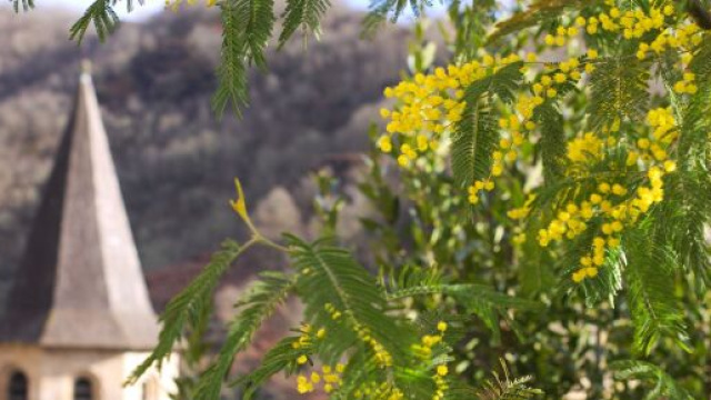 Oroscopo 8 marzo: Capricorno ferito, Acquario sentimentale