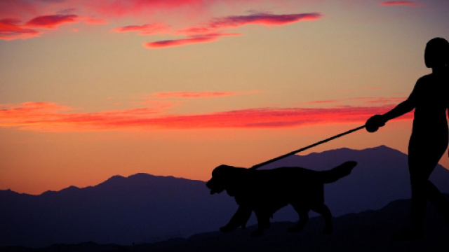 Previsioni astrologiche di lunedì 9 marzo: cambiamenti per lo Scorpione, Capricorno deve avere pazienza.