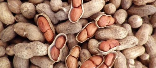 Amendoins são excelentes fonte de proteína. (Arquivo Blasting News)