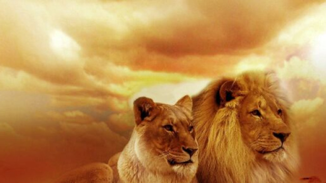 L'oroscopo dell'amore di coppia dell'11 marzo.