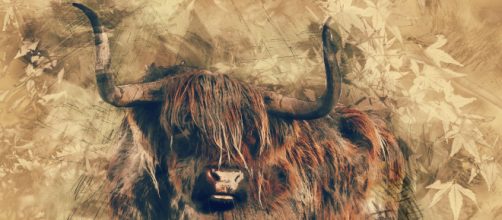 5 segni zodiacali spiccatamente vanitosi: c'è il Toro.