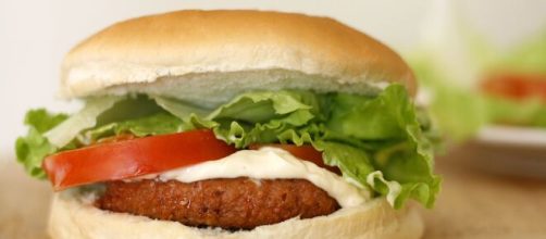 Hambúrguer industrializado é uma péssima opção para a dieta. (Arquivo Blasting News)