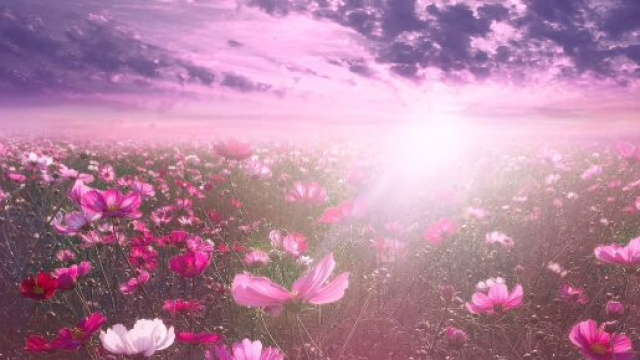 L'oroscopo del weekend fino al 5 aprile: Gemelli affascinante, Capricorno nostalgico