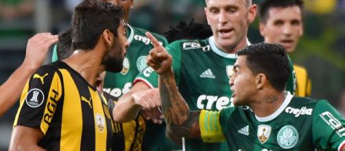 Em 2017, o Palmeiras conseguiu duas viradas sobre o Penãrol. (Arquivo Blasting News).
