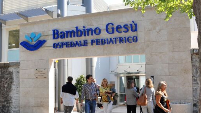 Pordenone, Elisa sconfitta dalla leucemia: 'Il nostro cucciolo ci ha lasciato soli'.