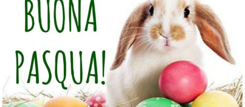 buona pasqua 2019 - Pro Loco di Pasturana - prolocopasturana.it