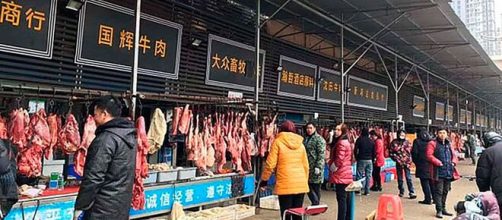 China publicará una lista de animales comestibles el próximo mes de mayo.