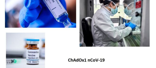 Un vaccino sviluppato presso il Jenner Institute (Oxford University) verrà prodotto a Pomezia, nei laboratori di Advent-IRBM.
