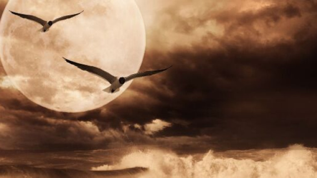 L'oroscopo di domani 16 aprile