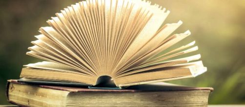 Libros bestseller: ¿Cuál es el mejor del 2020? | MONEDEROSMART - monederosmart.com