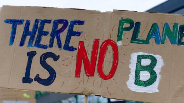 Entro il 2030 si potrebbe avere il collasso di molti ecosistemi