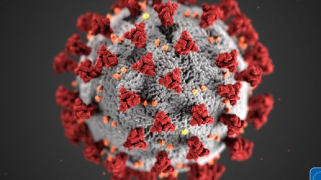 Asintomatici al Covid-19, appello di 100.000 medici a Speranza per mapparli tutti