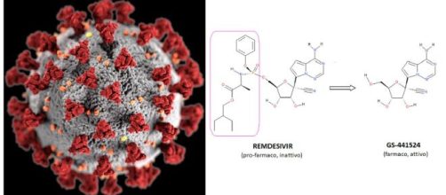 Remdesivir, il farmaco efficace contro il Covid-19, è in realtà un profarmaco, inattivo, che viene attivata solo dopo l’assunzione.