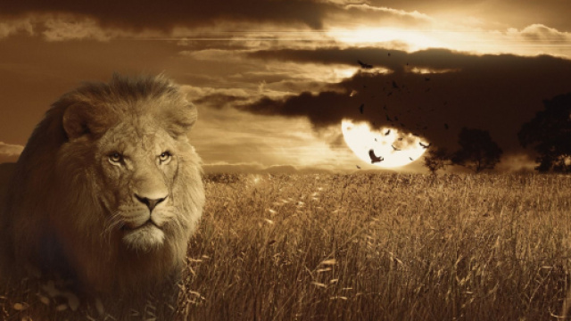 Oroscopo settimanale dal 18 al 24 maggio: finanze top per Leone, Sagittario zelante.