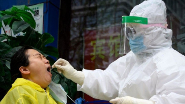 Codacons annuncia class action contro la Cina