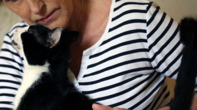 Parler &agrave; son chat serait signe d'intelligence