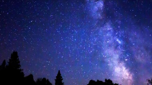 Previsioni zodiacali del 24 aprile: Cancro ansioso, Leone scontroso