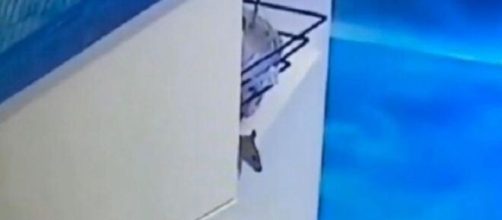 O rato apareceu na casa do 'BBB' e já ganhou mais seguidores que alguns ex-brothers. ( Reprodução/Instagram )