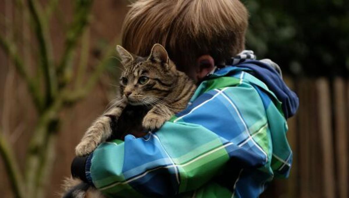 De La Tolerance A La Prise De Responsabilites Les Avantages D Avoir Un Chat Pour Un Enfant