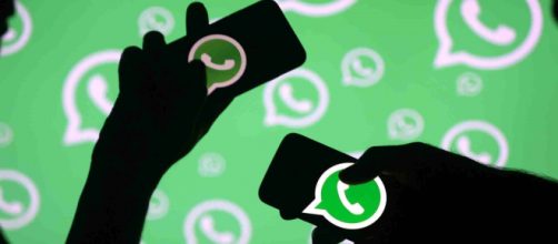 Whatsapp: calo del 70% delle Fake News diffuse grazie ai nuovi blocchi
