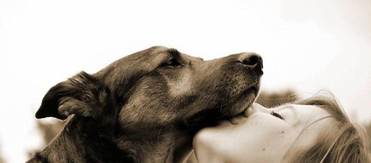 12 signes qui montrent que votre chien vous aime
