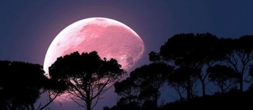 Luna de Fresa y Saturno se verá mejor que nunca desde la Tierra - infomistico.com