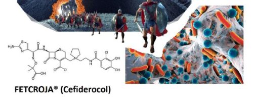 Un nuovo antibiotico attivo verso batteri Gram-negativi antibiotico-resistenti utilizza il ferro per entrare nelle cellule.