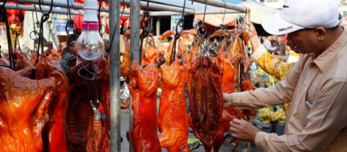Coronavirus, Animal Equality lancia un appello per chiudere i wet market