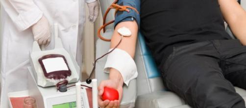 Covid-19: Ministério da Saúde continua a proibir transfusão de sangue por gays (Fonte: G1)
