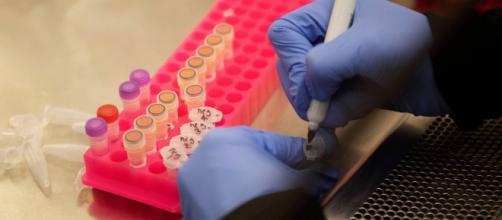 Testes com a clororquina no tratamento da covid-19 ainda não são conclusivos. (Arquivo Blasting News