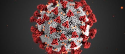 Coronavirus Coverage - nationalgeographic.com