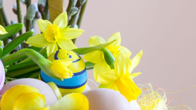 Menù Pasquetta: 5 ricette, in primis la grigliata