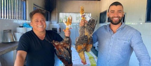 Gusttavo Lima e Leonardo recebem críticas de fãs devido a foto com galinhas. (Reprodução/Instagram/@gusttavolima)