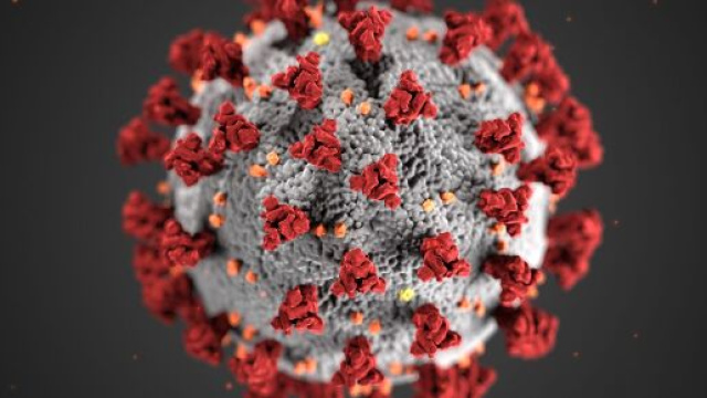 Dalle indagini Doxa sulla Covid-19, &egrave; emerso che potrebbero essere stati infettati dal nuovo coronavirus 8 milioni di italiani.